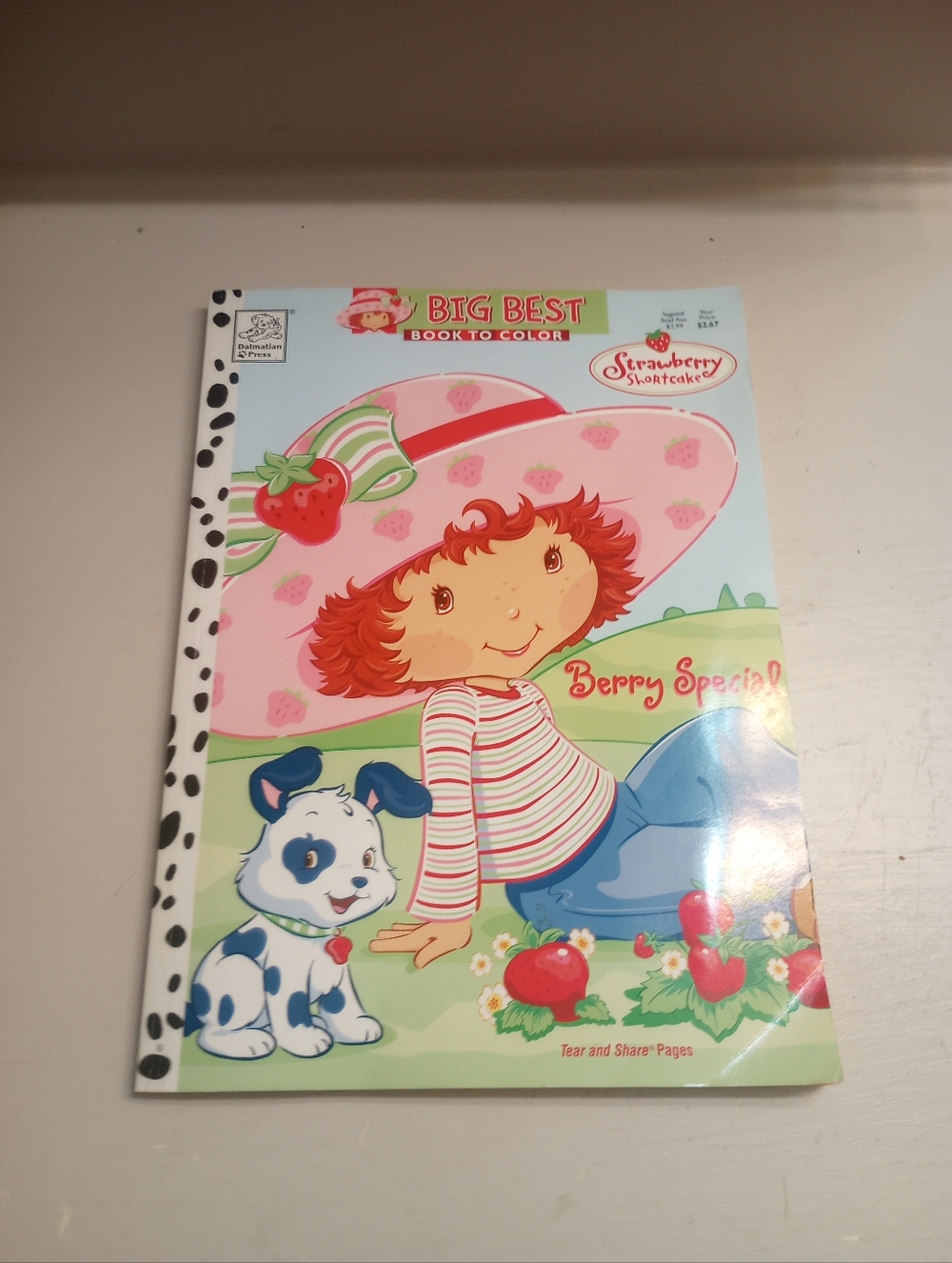 Strawberry Shortcake Vintage Coloring/Activity Book